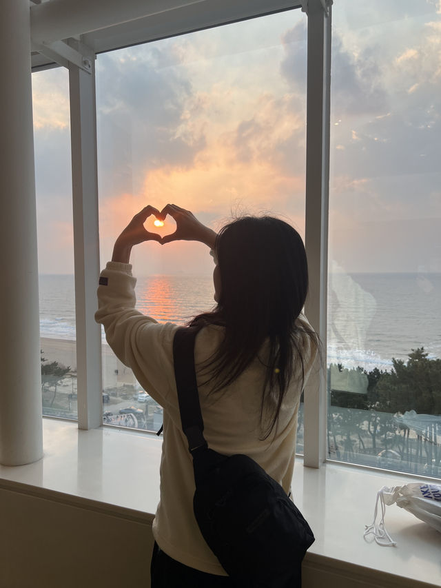 🇰🇷 리솜 아일랜드에서 즐기는 겨울 안면도 여행 가이드 🇰🇷 리솜 아일랜드에서 즐기는 겨울 안면도 여행 가이드