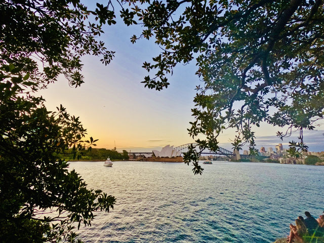 Sydney’s famous landmark view from  Mrs Macquaire’s chair 🇦🇺🌅