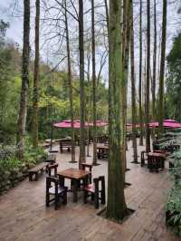 Panda Vibes & Chill Scenes at Chengdu’s Top Park 🐼☕️