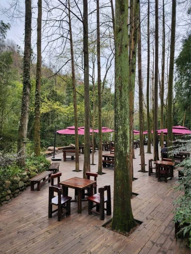 Panda Vibes & Chill Scenes at Chengdu’s Top Park 🐼☕️ Panda Vibes & Chill Scenes at Chengdu’s Top Park 🐼☕️