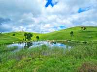 不用去新疆!在湘南郴州找到宫崎骏童话草原|蹒跚小旅人一日漫游