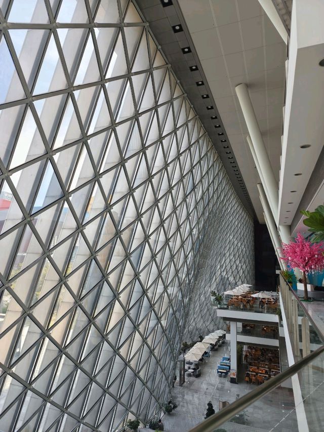 深圳圖書館 深圳圖書館