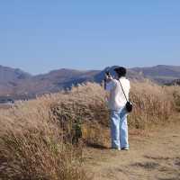 ภูเขาไฟ ASO “The Breathing Earth 🌍”