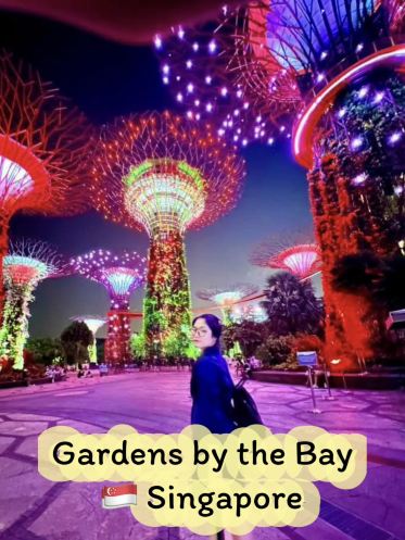 🇸🇬Singapore➖โชว์ต้นไม้ไฟสุดอลังการ🎆🎇 (Garden by the bay)
