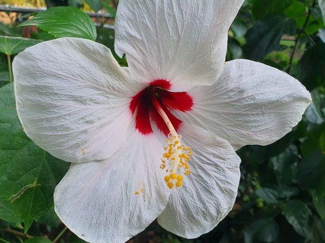 NEW 2026 YEAR IN BANGKOK, THAILAND