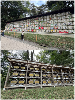 在明治神宮的寧靜漫步