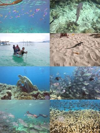 My first deep-sea diving experience at Sipadan Island ✨ God's aquarium lives up to its name!