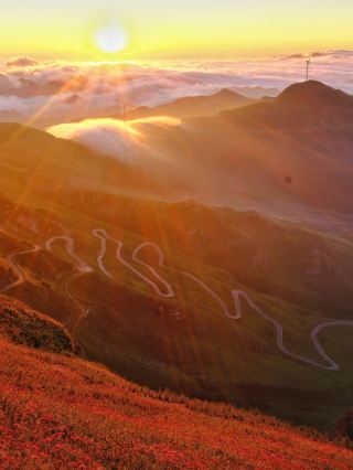 🌄 Jiucai Mountain at Sunrise | Where the Flowers Meet the Clouds