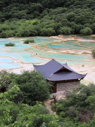My Story of Discovering Five-Color Pond