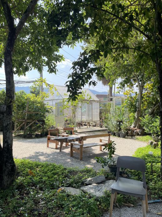 庭弄り まるで都会のオアシス🌲庭園に佇むアットホームな隠れ家カフェで癒やし