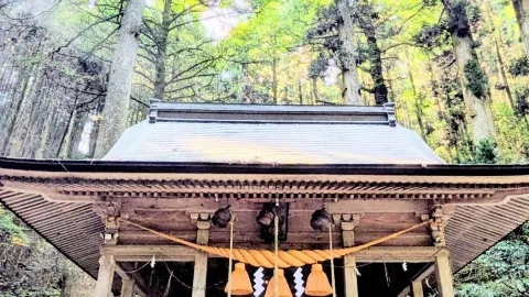 🇯🇵 [Kumamoto/Aso] Xa hơn nữa là Đền Kamishikimi Kumanoza…! — traveler post in Aso