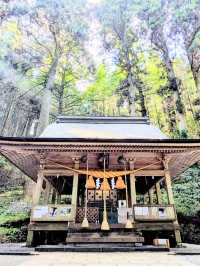 🇯🇵【熊本・阿蘇】上色見熊野座神社のさらに先へ…!