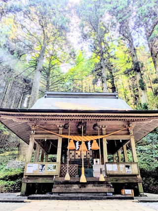 🇯🇵【Kumamoto/Aso】Further beyond Kamishikimi Kumanoza Shrine…!