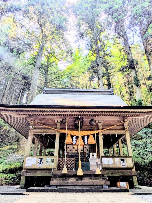 🇯🇵【熊本・阿蘇】上色見熊野座神社のさらに先へ…! 🇯🇵【熊本・阿蘇】上色見熊野座神社のさらに先へ…!
