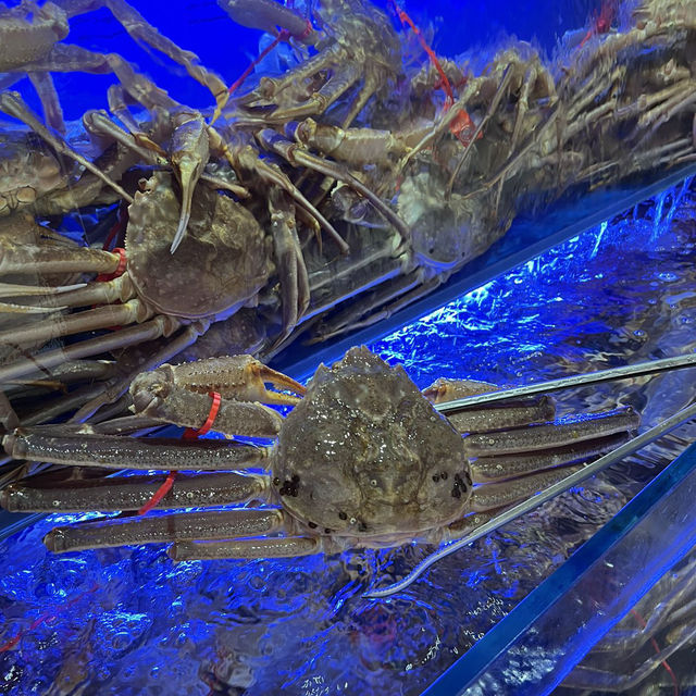 🦀蟹道松葉蟹套餐：美食家天堂🔥 