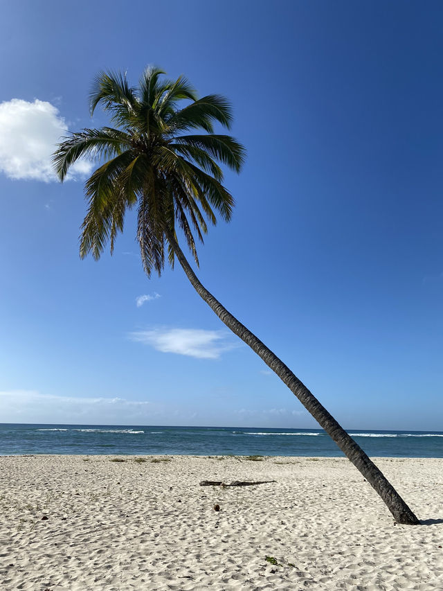 【ドミニカ】フアンドリオビーチでのんびり海水浴🏖️