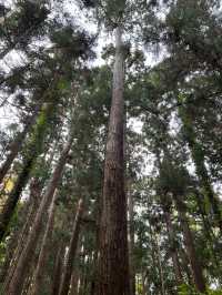 삿포로 5일 여행 포토 스팟