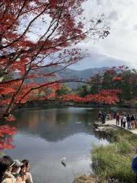 Yufuin at Fukuoka Japan 🍁🍂