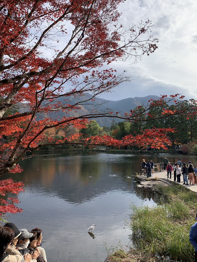 Yufuin at Fukuoka Japan 🍁🍂 Yufuin at Fukuoka Japan 🍁🍂