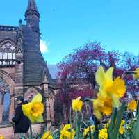 🌺春天的櫻花聖堂🌸Chester Cathedral