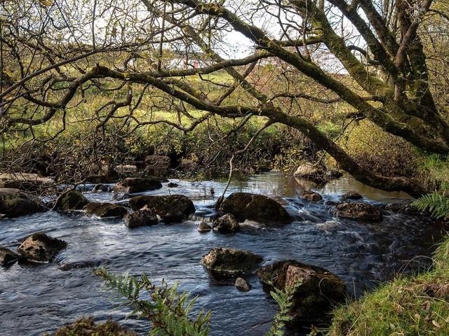 Tullydermot Falls Ireland 🗺️