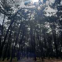 Esposende - a hidden gem of sunny Portugal