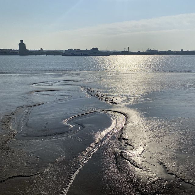 利物浦親子遊