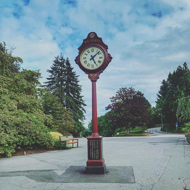 Queen Elizabeth Park Vancouver 🌴🇨🇦