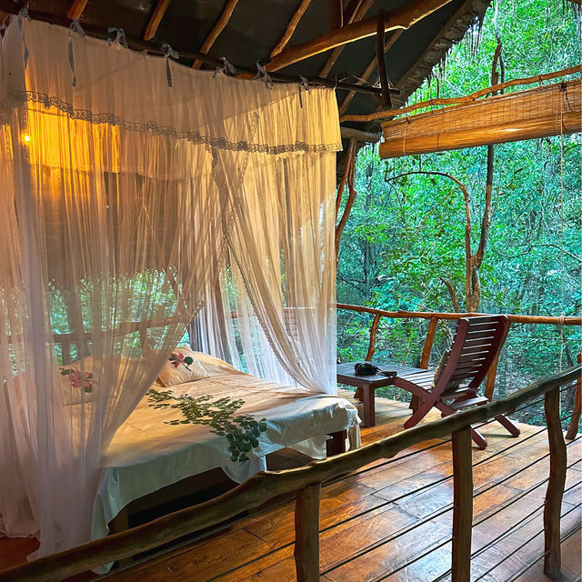 Treehouse in Sri Lanka 