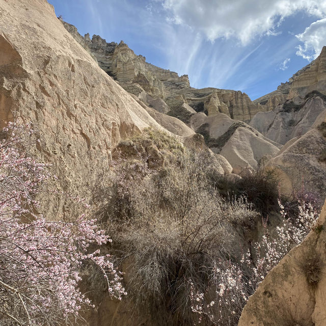 Cappadocia in spring 🌸