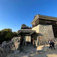 Awesome Matsuyama castle