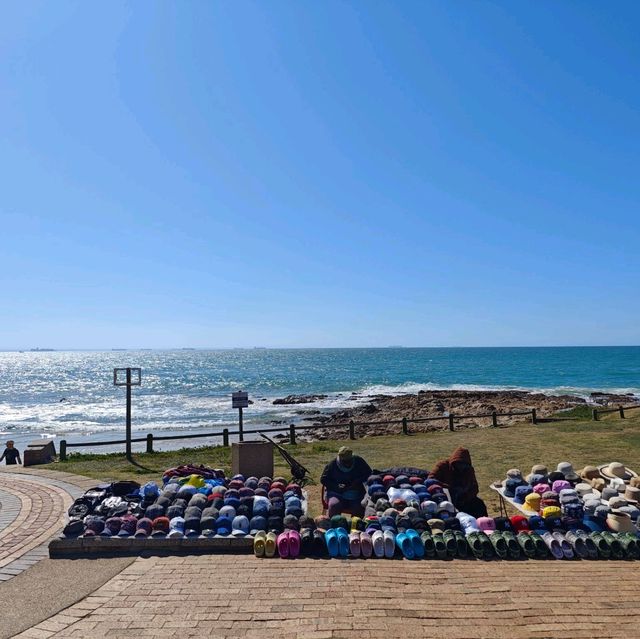  Beachside Gem in Port Elizabeth, EC
