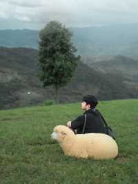 Akha Farmville
