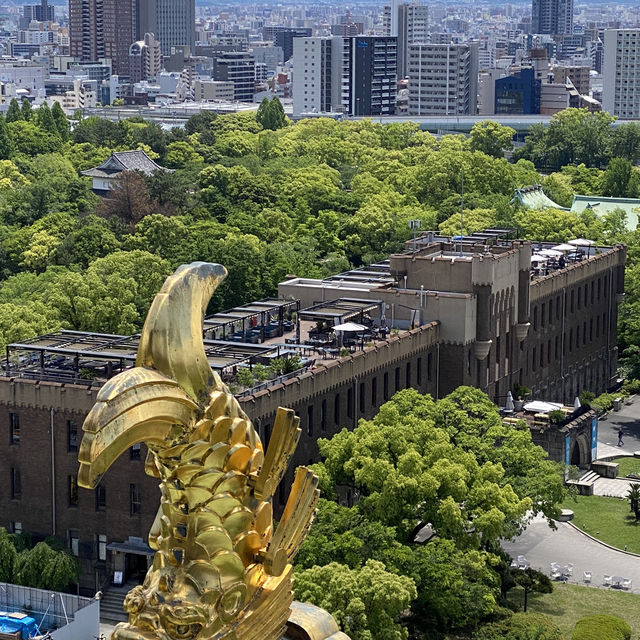 大板城遊船河