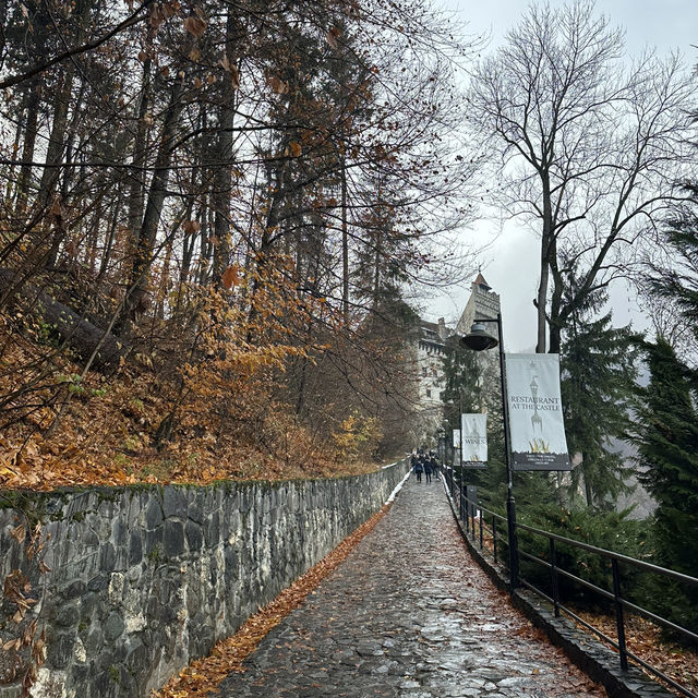 A journey to the home of Dracula 