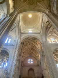 A Day with Segovia’s Cathedral and Nature