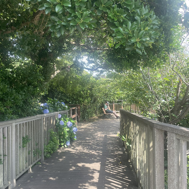 Enoshima Island, Japan