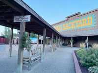 Wall Drug – The Most Eccentric Roadside Theme Park in America! 🎡
