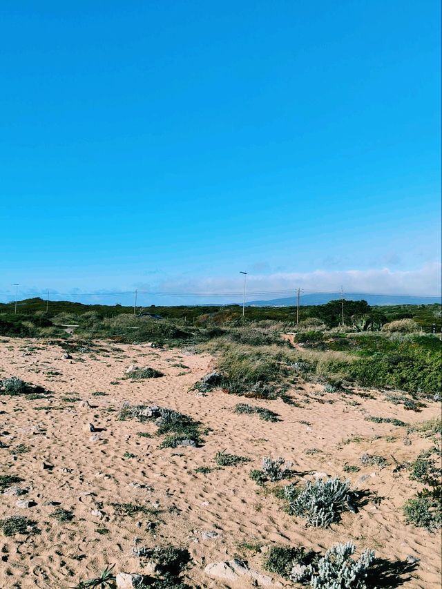 🌊 Watching the Ocean in Cascais, Portugal 🌅