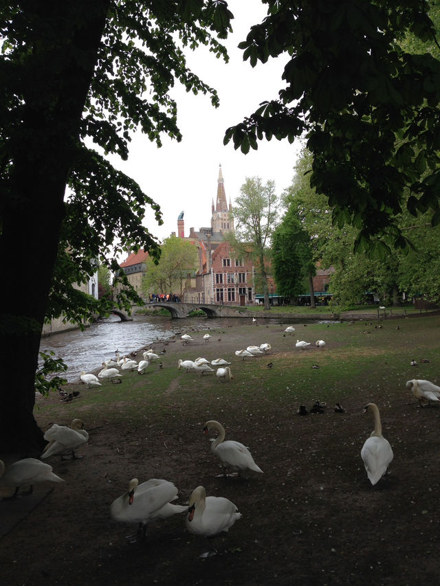 Bruges is a picturesque medieval city in Belgium, which became especially popular thanks to the film