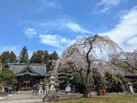 Odaka shrine