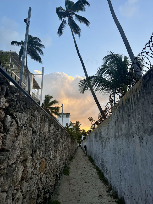 Punta Cana – Your Caribbean Paradise! 🌴🌊