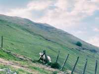 🏞️ Manchester to Peak District: Perfect Nature Escape!