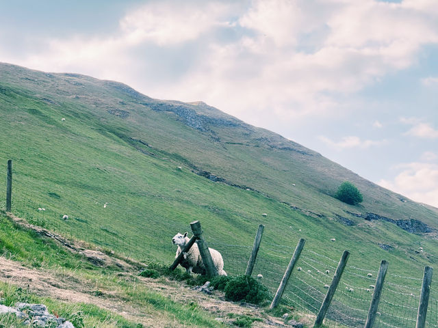 🏞️ Manchester to Peak District: Perfect Nature Escape!