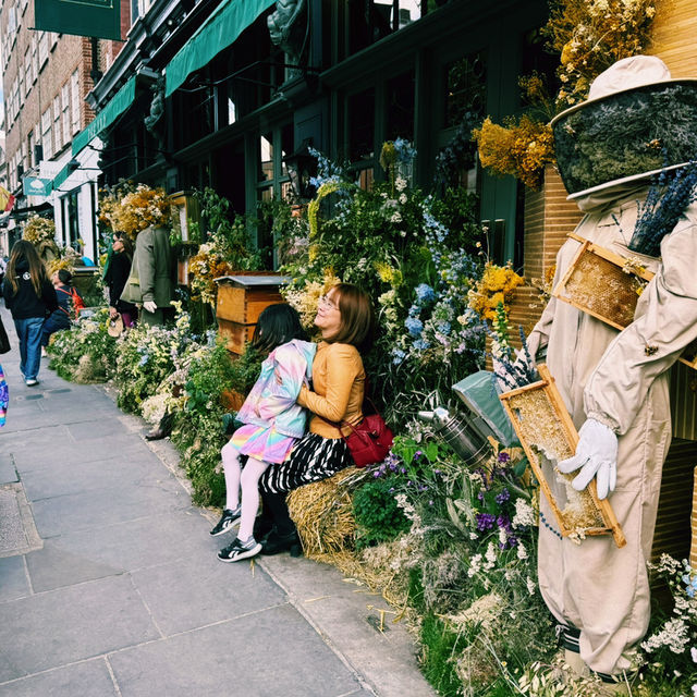🌸 Chelsea Flower Show 2025: A Blooming Spectacle in London 🌿