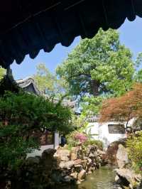 Have you experienced the calm of Yu Garden yet? 🌸🎐🎋