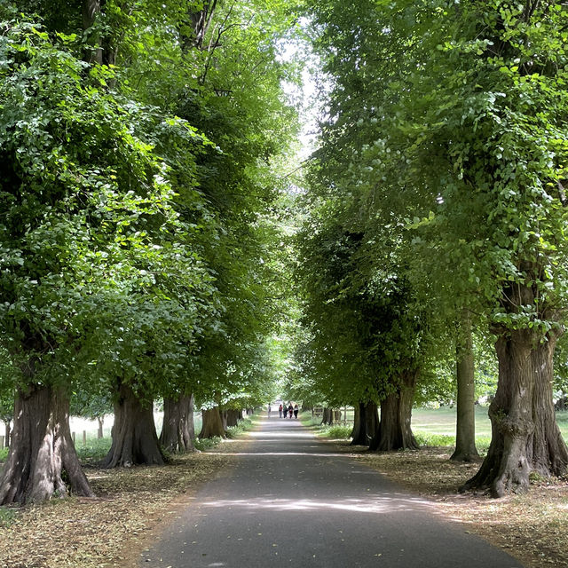 Nottingham🇬🇧Review of Wollaton Hall and Deer Park🦌🏞️