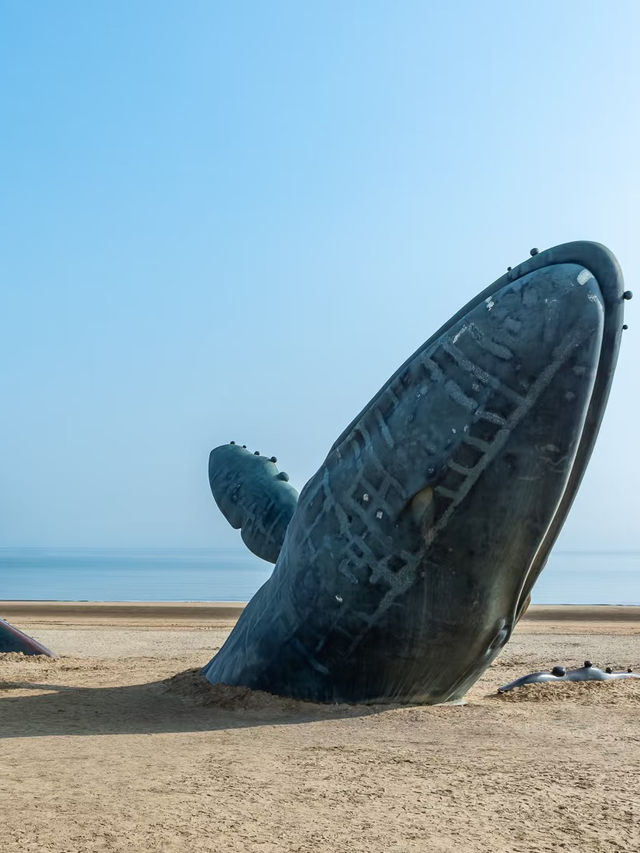 Seashells, Sunshine, and Seafood: A Day in Yantai