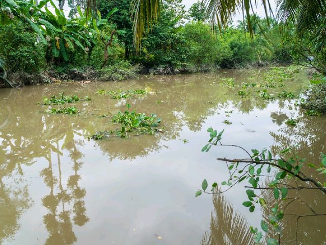 Exploring the Mekong Delta: A Peaceful Day in Cai Be Village