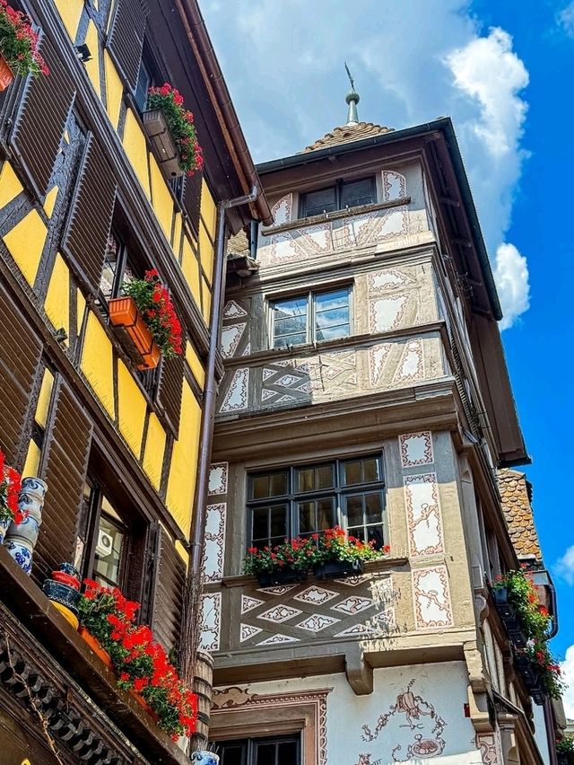 Enchanted Halloween Magic in Strasbourg! 🧙‍♀️✨